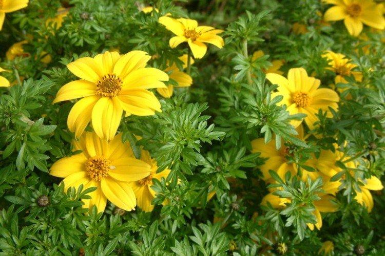 informations générales