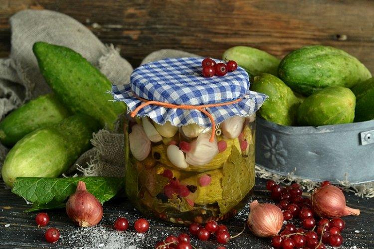 Concombres marinés aux groseilles rouges