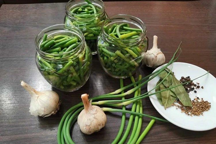 Salade de flèches à l'ail mariné pour l'hiver