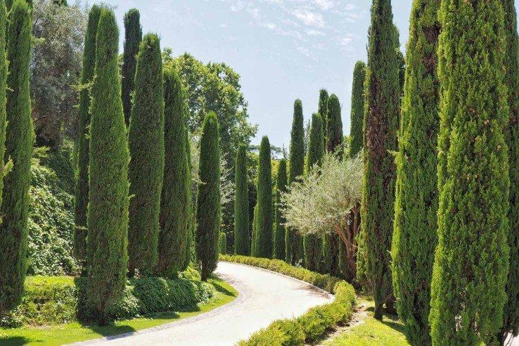 Température et éclairage