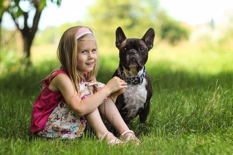 Bouledogue français avec des enfants
