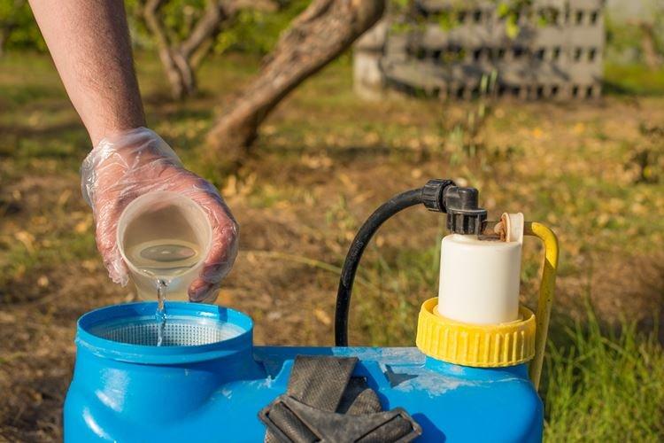 Préparation de la solution - Fongicide Horus instruction