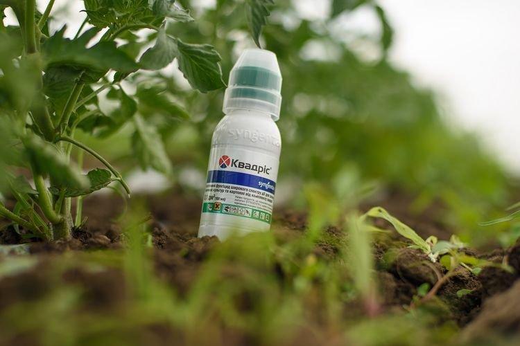 Avantages du fongicide Quadris