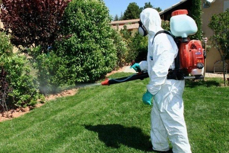 Fongicide Quadris - Précautions d'emploi importantes