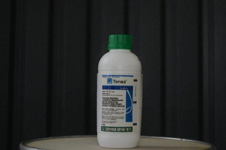 Préparation de la solution fongicide Topaz