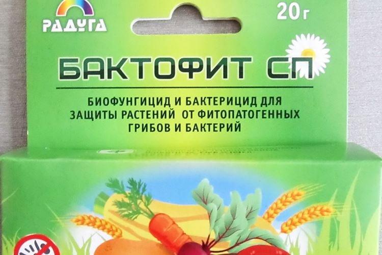 Bactophyte - Fongicides pour plantes