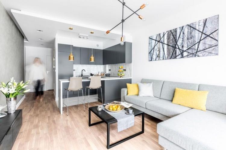 Cuisine-salon dans le style du minimalisme - Design d'intérieur