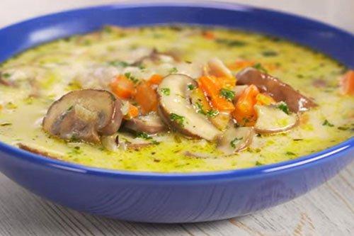 Soupe de champignons aux champignons et poulet - une recette étape par étape