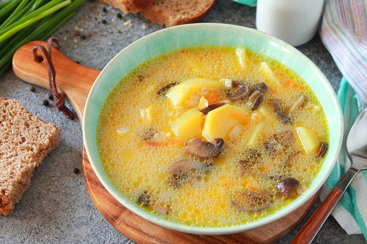 Velouté de champignons aux champignons - recettes
