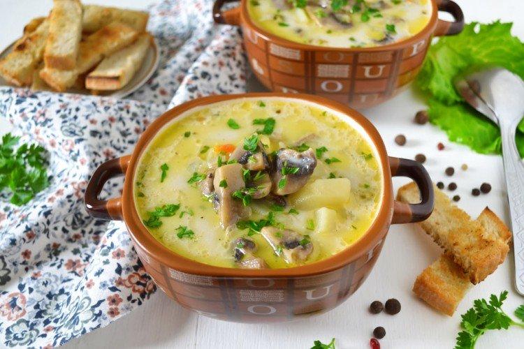 Soupe de champignons au fromage à la crème - recettes