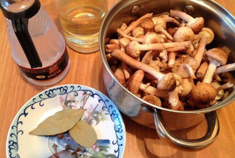 Comment et combien cuire les champignons au miel avant le marinage et le marinage