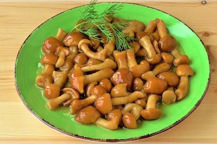 Comment et combien cuire les champignons au miel pour la soupe et les casseroles