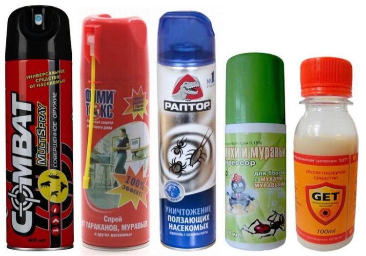 Aérosols - Comment se débarrasser des fourmis dans la maison et l'appartement