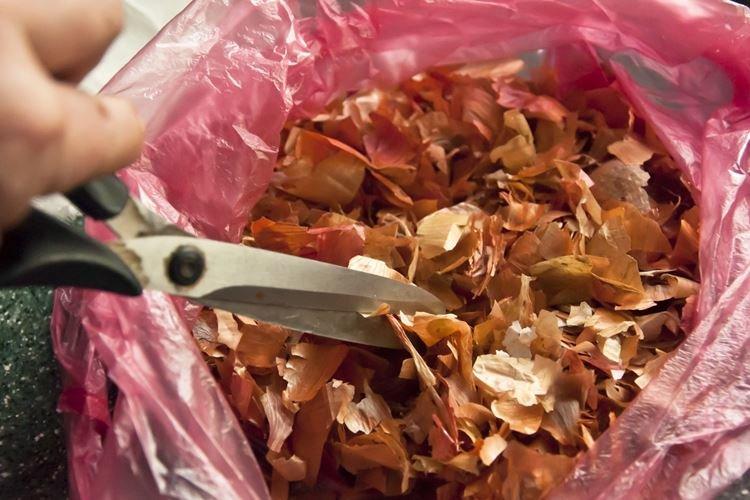 Remèdes populaires simples - Comment se débarrasser du ver fil-de-fer dans le jardin