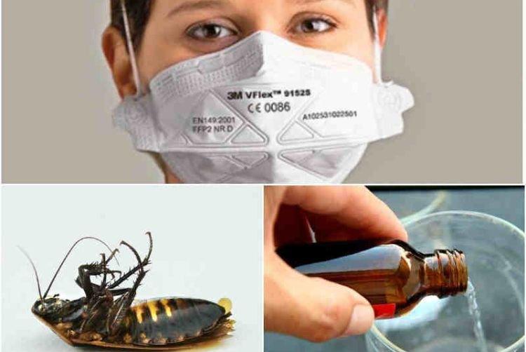 Ammoniac - Comment se débarrasser des cafards