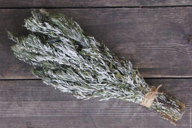 Wormwood - Comment se débarrasser des cafards