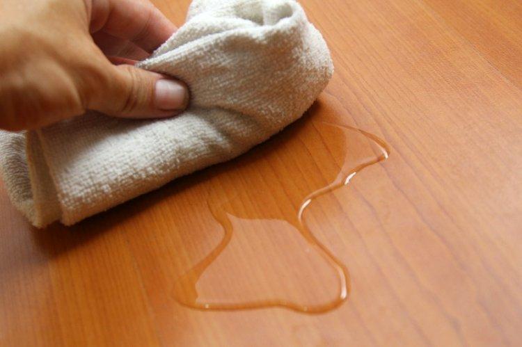 Agir immédiatement - Comment se débarrasser de l'odeur d'urine de chat dans un appartement