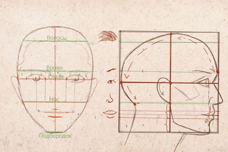 Comment dessiner une personne de profil