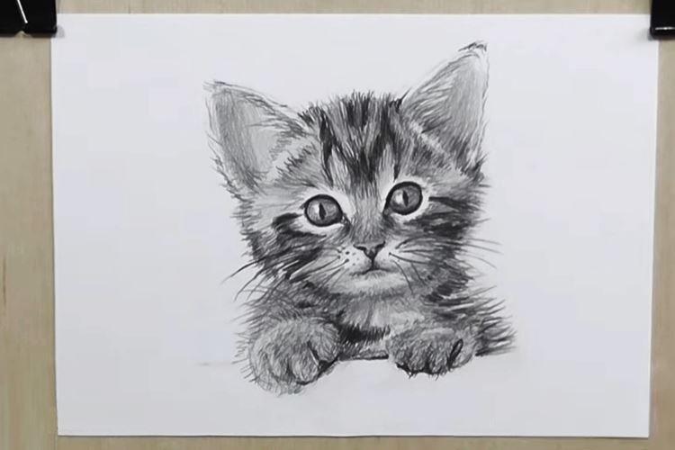 Comment dessiner un chat avec un crayon