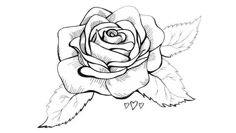 Comment dessiner une rose par pétales