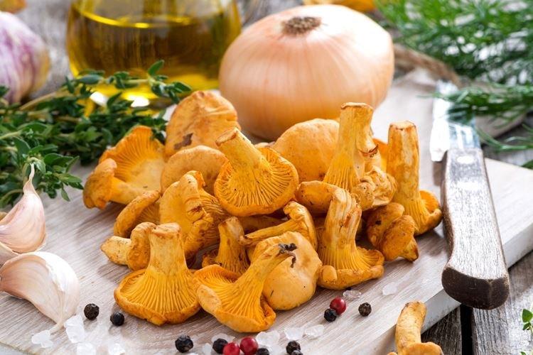 Comment traiter les chanterelles avant la cuisson