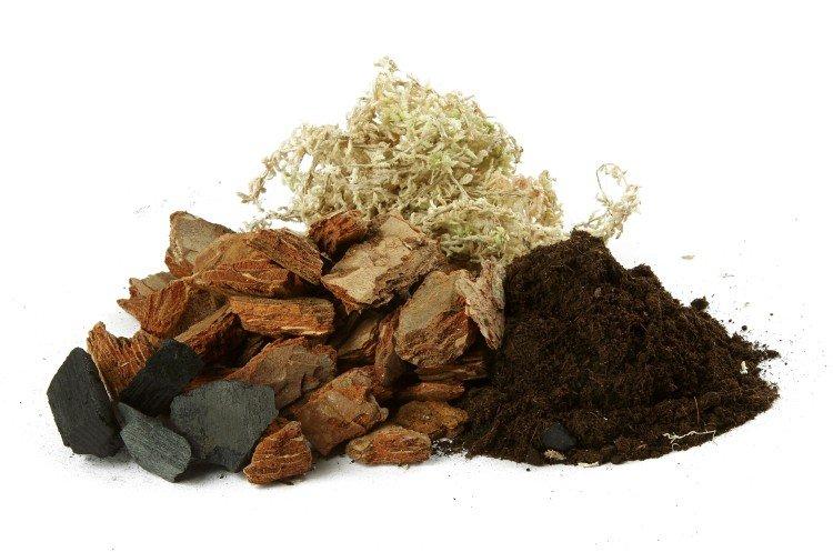 Exigences du sol - Comment prendre soin d'une orchidée à la maison