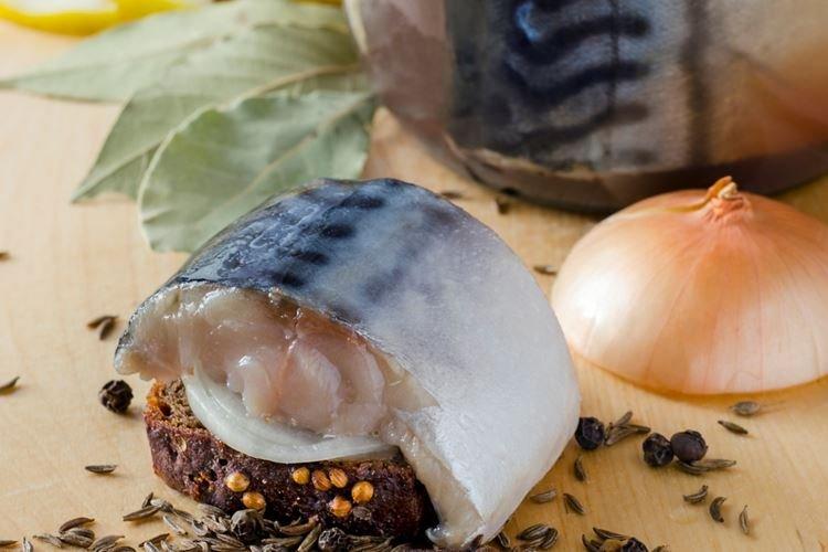 Maquereau sous oppression - comment saler à la maison