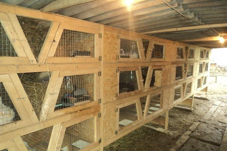 Installation de la cage - Cages à lapin bricolage