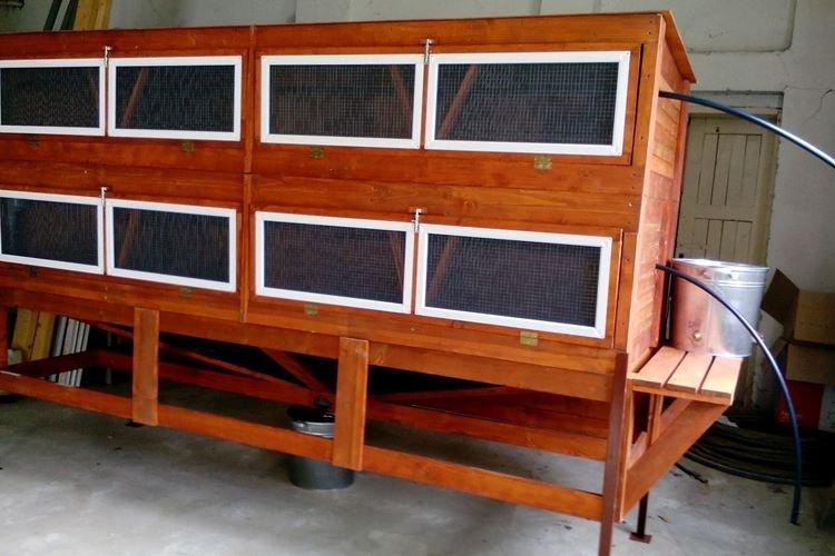 Cages à lapins à plusieurs niveaux