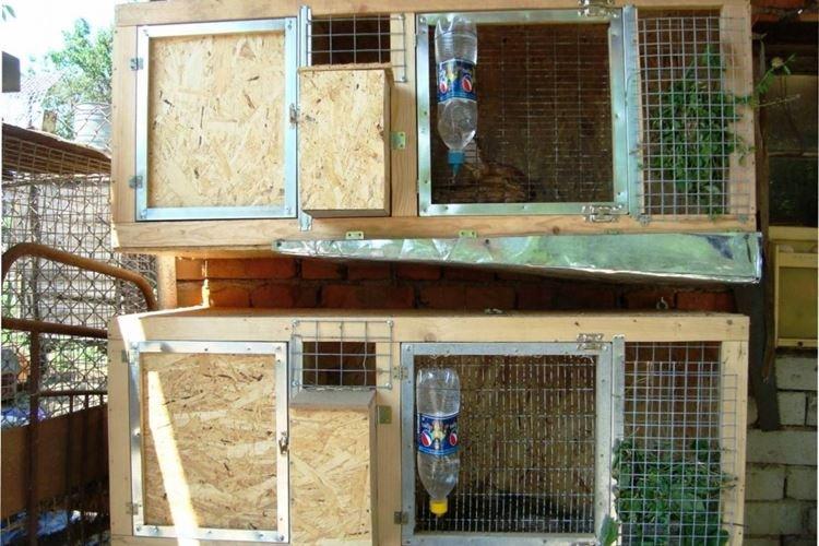 Cages pour jeunes animaux - Cages à lapins bricolage