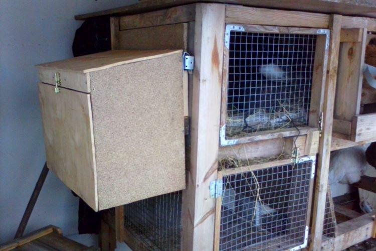 Cages pour okrol - Cages à lapins DIY