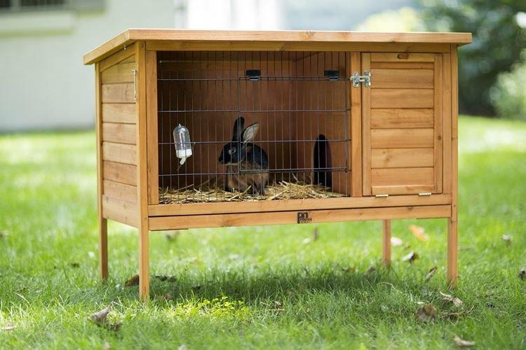 Cages pour okrol - Cages à lapins DIY