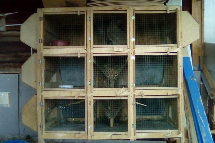 Cages Zolotukhin - Cages à lapins bricolage