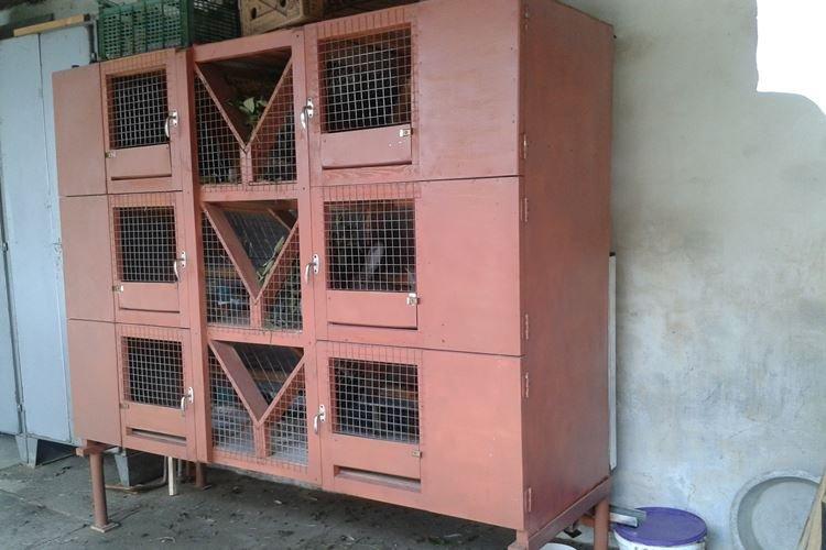 Cages Zolotukhin - Cages à lapins bricolage