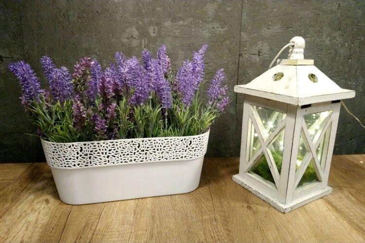 Lavande - Fleurs d'intérieur qui devraient être dans chaque maison