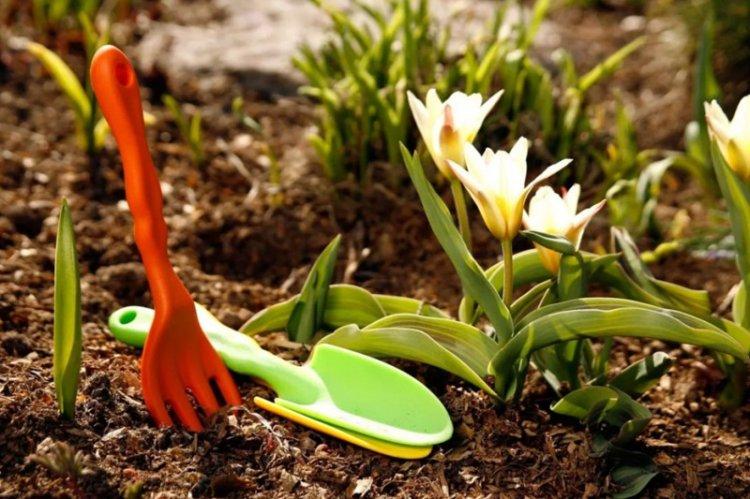 Engrais et alimentation - Crocus care