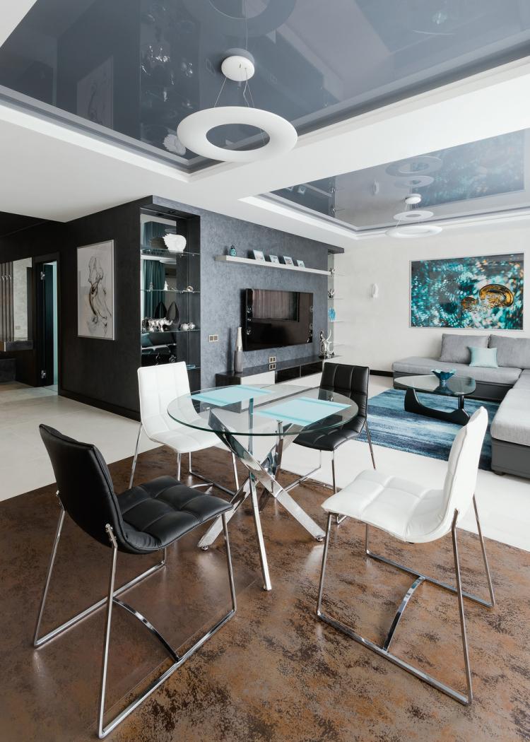 Cuisine-salon Un triomphe de la fonctionnalité - design d'intérieur