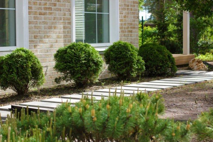 Allées de jardin - Aménagement paysager d'un chalet d'été photo