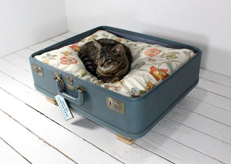 Lit pour chat à faire soi-même à partir d'une vieille valise