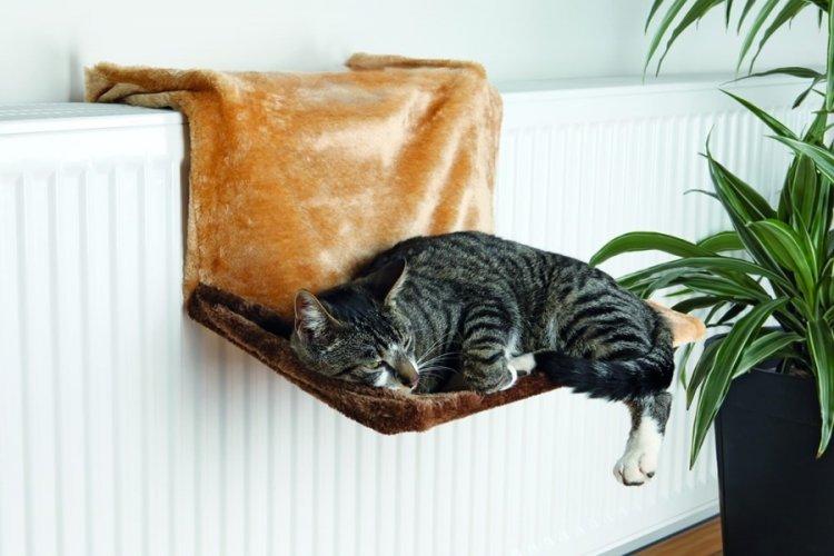 Lit pour chat à faire soi-même pour une batterie