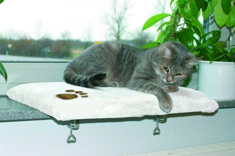 Lit de chat à faire soi-même sur le rebord de la fenêtre