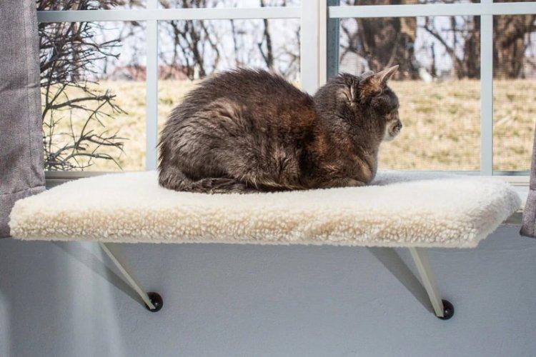 Lit de chat à faire soi-même sur le rebord de la fenêtre