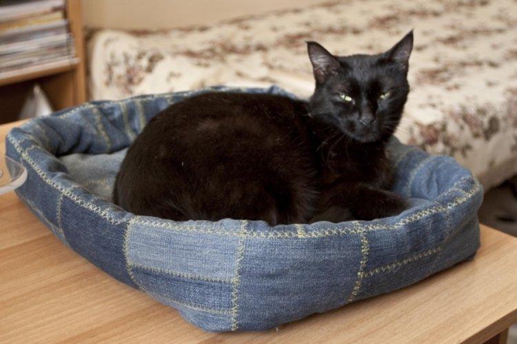Lit pour chat à faire soi-même - photos et idées