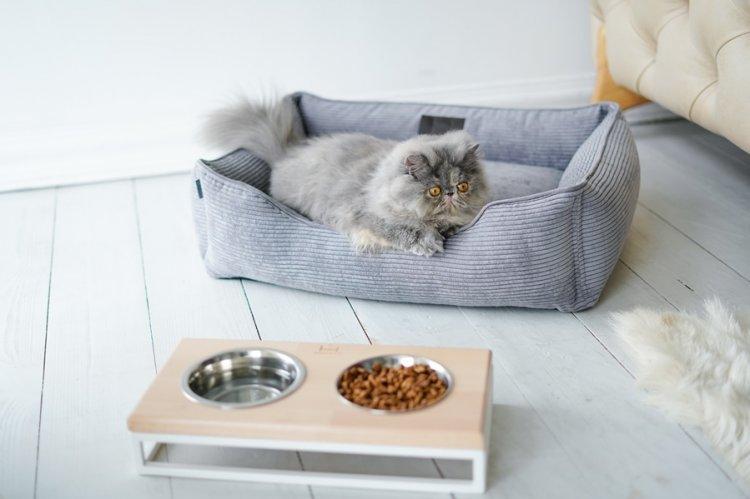 Lit pour chat à faire soi-même - photos et idées