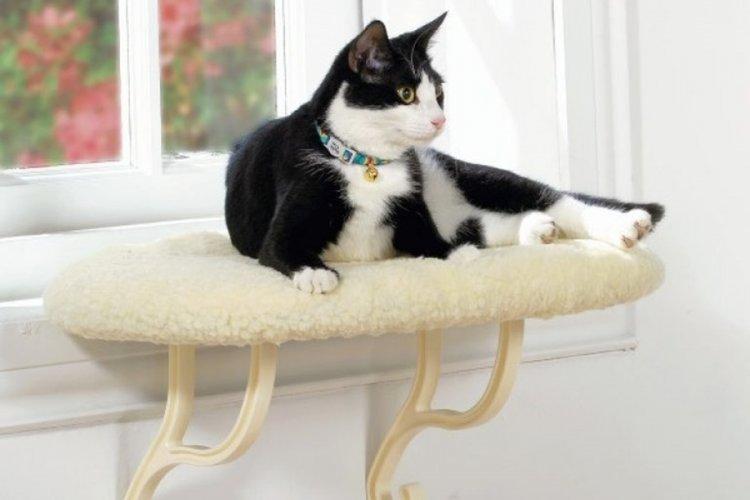 Lit pour chat à faire soi-même - photos et idées