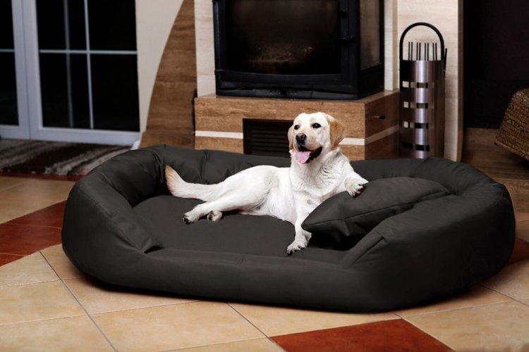 Canapé-lit à faire soi-même pour un chien