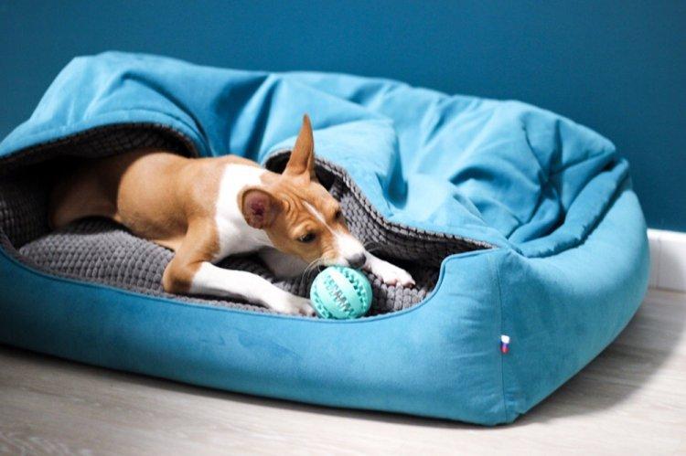 Lit pour chien à faire soi-même - photos et idées