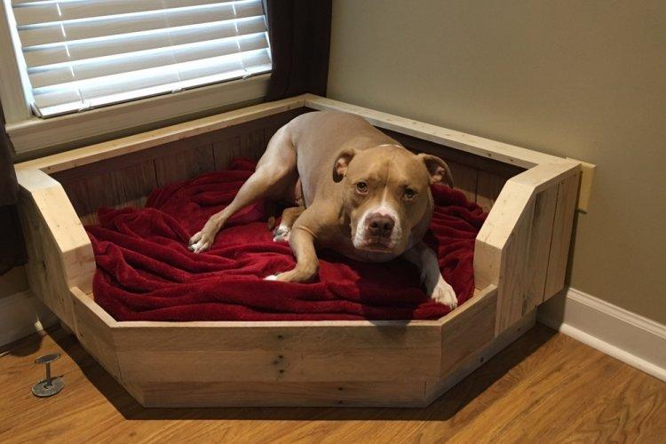 Lit pour chien à faire soi-même - photos et idées