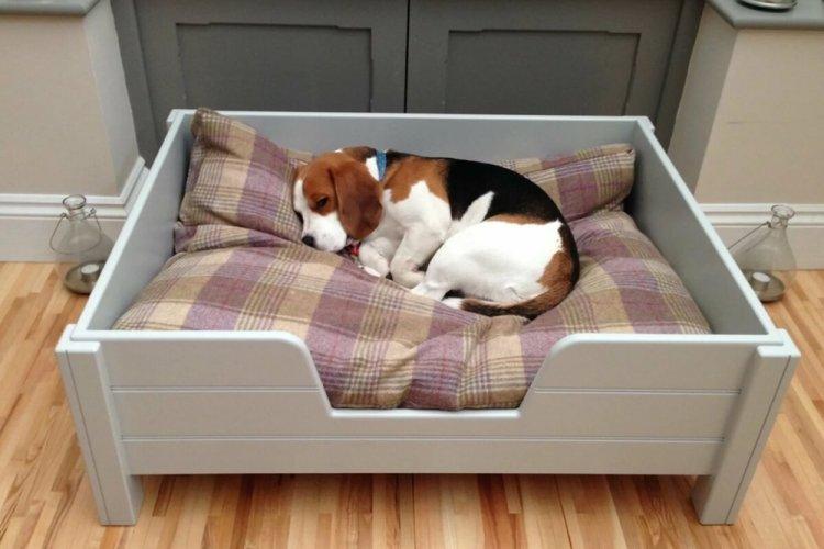 Lit pour chien à faire soi-même - photos et idées