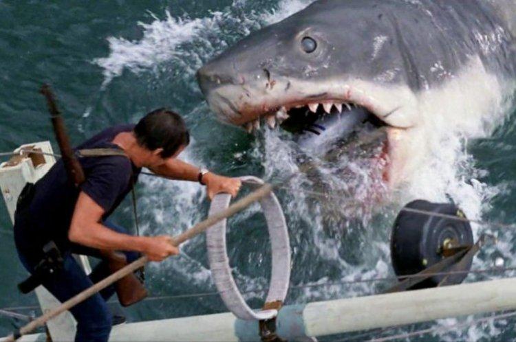 Jaws - Meilleurs films sur les requins